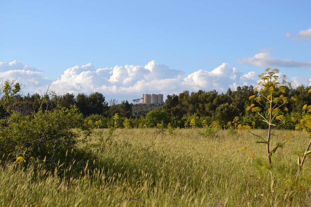 B&B Le Stagioni Castel Del Monte  Dış mekan fotoğraf